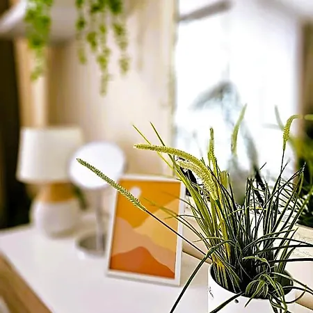 Hotel Cofy Rentals, A/c, Free Parking, Online Check-in! Tallin